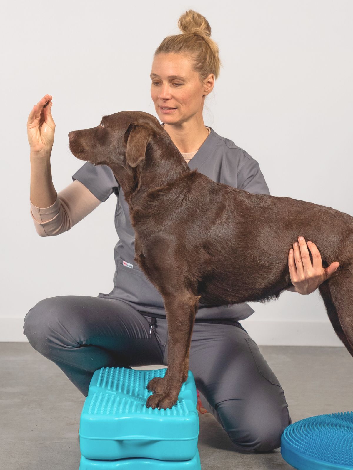 Muscle Atrophy in Dogs